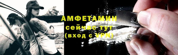 хмурый Бородино