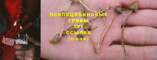 хмурый Бородино