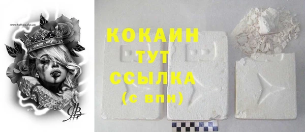 хмурый Бородино