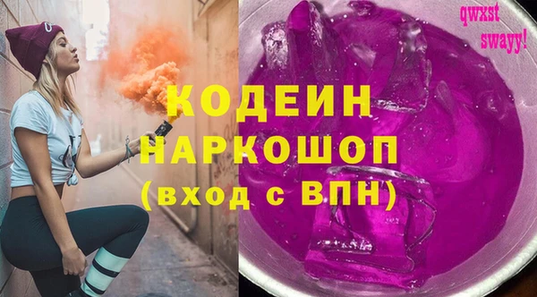хмурый Бородино