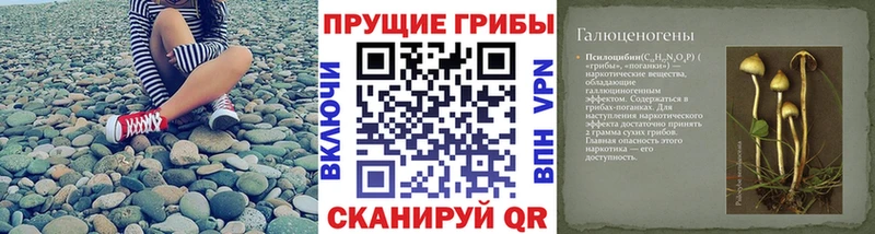Галлюциногенные грибы Psilocybine cubensis  Любань 